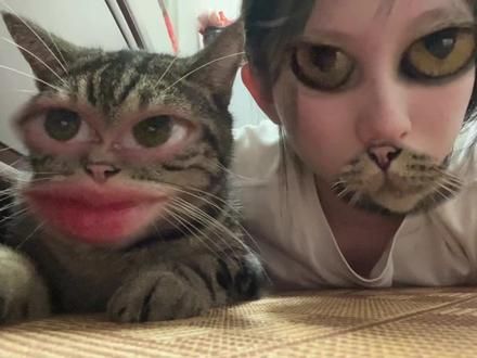 #猫咪换脸