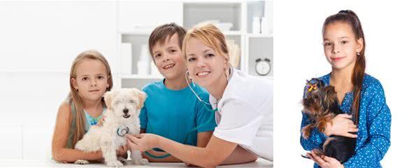 当宠物犬出现体温上升并伴随眼球凹陷的时候它可能得了破伤风杆菌