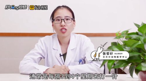 猫疫苗多久打一次