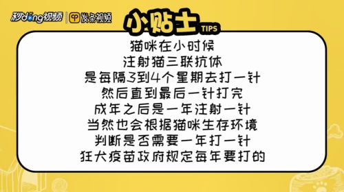 猫疫苗多久打一次