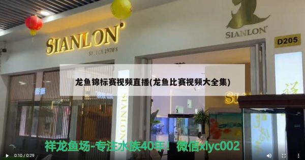 龙鱼锦标赛视频直播(龙鱼比赛视频大全集) 2024第28届中国国际宠物水族展览会CIPS（长城宠物展2024 CIPS）