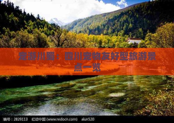 宠游川蜀：四川宠物友好型旅游景点一览