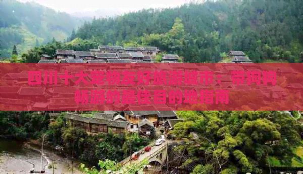 四川十大宠物友好旅游城市：带狗狗畅游的更佳目的地指南