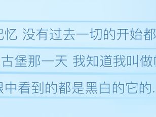 专栏