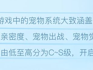 专栏