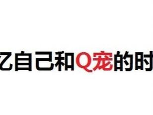 专栏