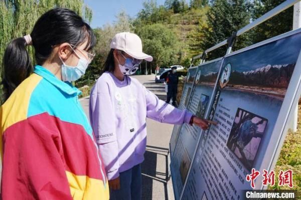 青海野生动物“救助站”十四年来救护各类动物1500余只