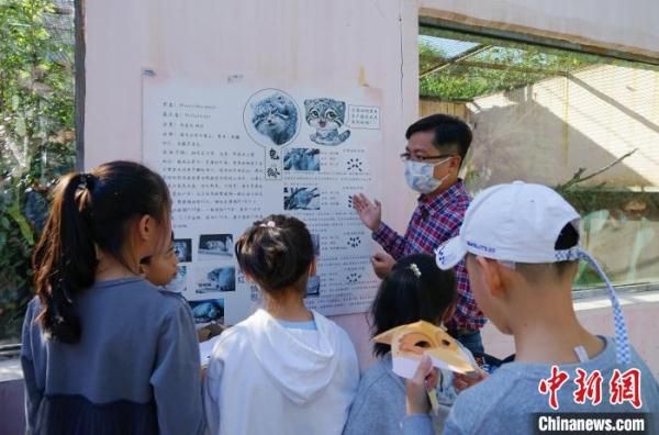 青海野生动物“救助站”十四年来救护各类动物1500余只