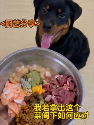 金牌飞剑训犬:每日一餐 看看我这好兄弟给他的爱犬都吃的啥!#训犬师 #宠物犬行为纠正寄养 #专业训犬学校
