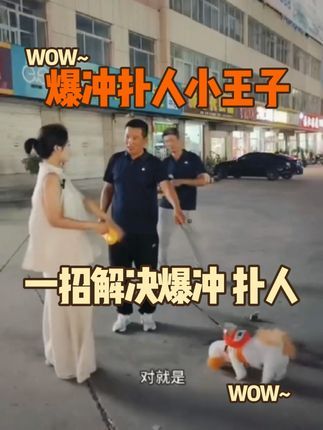 金牌飞剑训犬:你们家狗狗也这样爆冲扑人吗? 教学视频他来了,你们遇到自己狗狗不听话各种坏毛病可以随时私信告诉我,我来帮你们解决。#专业训犬学校#宠物犬行为纠正寄养#上门纠正宠物犬行为