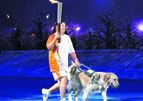 导盲犬