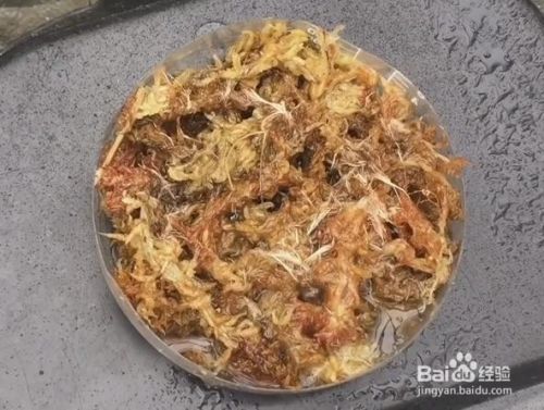 空气凤梨种子怎么播种