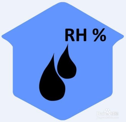 空气凤梨种子怎么播种