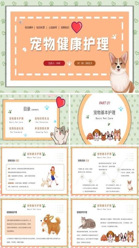 宠物日常护理小常识PPT课件