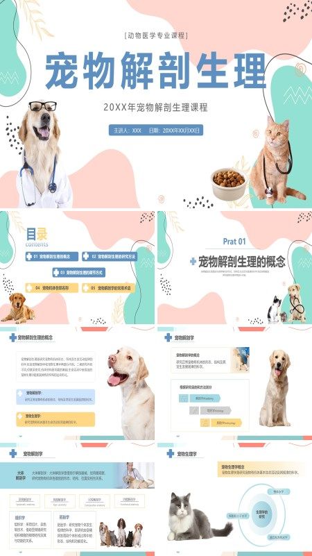 宠物解剖生理讲座PPT课件