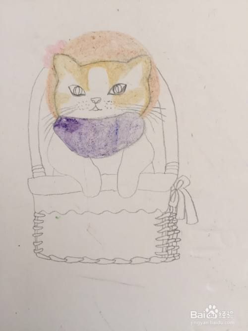 插画教程之猫咪