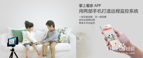 七夕去约会，如何照顾独自在家的宠物？