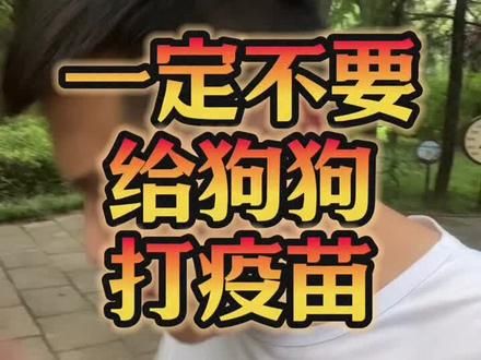 一定千万不要给狗打疫苗#养狗经验分享 #狗狗疫苗 #新手养狗 #科学养宠攻略 #狗狗驱虫