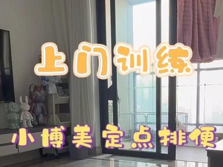 定点大小便纯干货教学，别再说你教不会你的狗狗定点排便啦#狗狗乱拉乱尿怎么训 #狗狗定点排便训练 #重庆上门训犬 #重庆上门训犬张德帅 #重庆宠物训练
