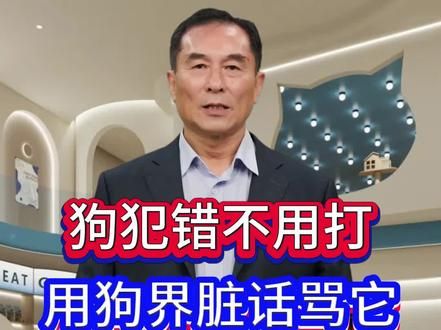 狗犯错不用打用狗界脏话骂它 #养狗经验分享 #狗狗 #狗犯错 #训狗 #科学养狗