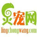 灵宠网