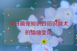 今日萌宠知识四招识别犬的情绪变化