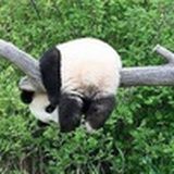 橙