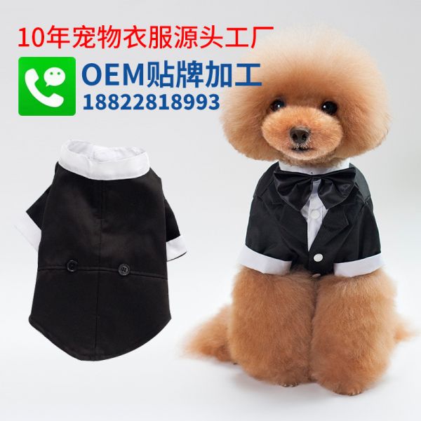 十家宠物服品牌排行榜 宠物服哪个牌子好