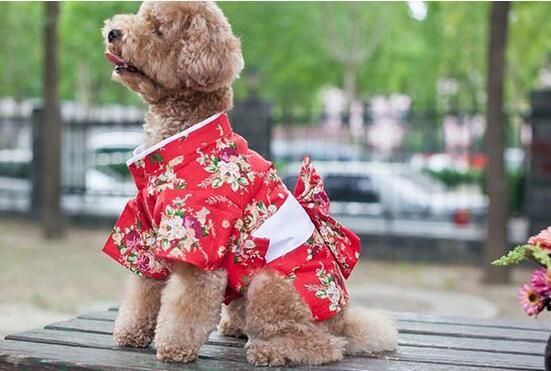 十家宠物服品牌排行榜 宠物服哪个牌子好