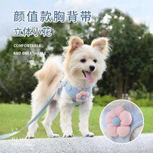 花朵狗狗牵引胸背小型犬遛狗绳泰迪比熊博美狗链猫咪背心式牵引绳