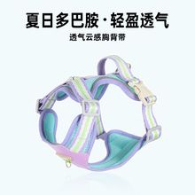 跨境狗狗胸背带 轻便不沾毛撞色外出透气网布小狗牵引绳小型宠物