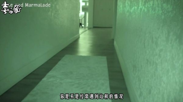 如何让猫咪不要吵你睡觉