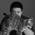 猫行为咨询师喜乐爸
