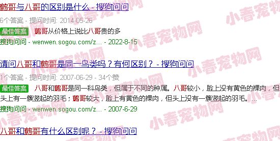 鹩哥和八哥