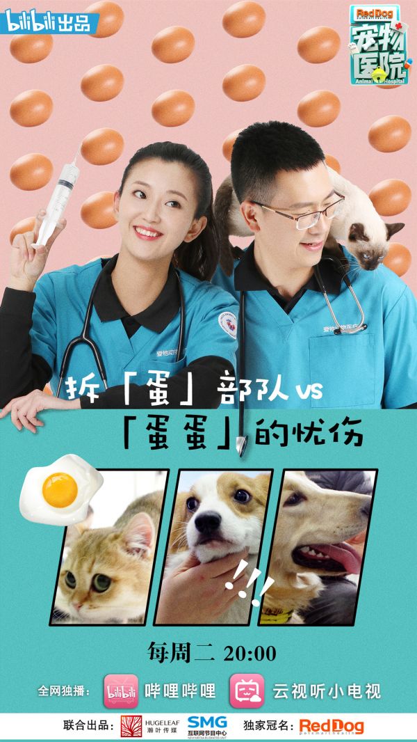治愈系宠物真人秀俘获人心.jpg