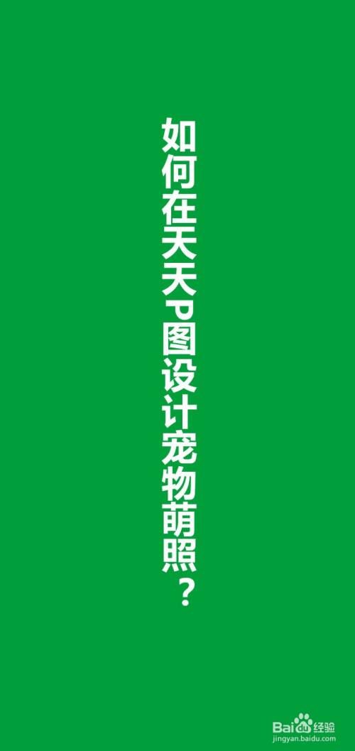 如何在天天P图设计宠物萌照？