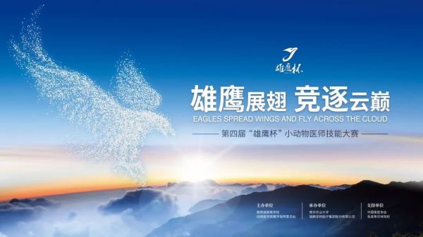 第四届“雄鹰杯”小动物医师技能大赛圆满落幕
