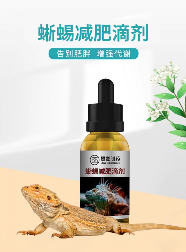 蜥蜴减肥滴剂_01.jpg