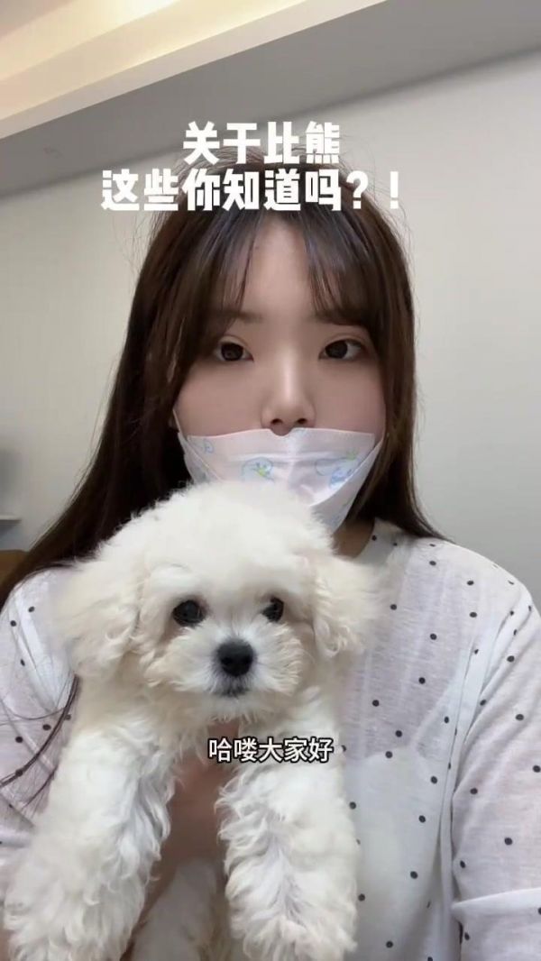 比熊好养吗？它有哪些优点呢？近期有很多小伙伴问我们比熊好养吗？它有哪些优点呢？在这里我就给大家说一说比熊的三个优点！ 比熊它有三好：粘人、忠诚、不掉毛。它的体质算是小型犬当中比较好的，比熊它也很聪明活泼。 大家还知道比熊的哪些优点吗？可以打在评论区下面哦！ #比熊#宠物狗