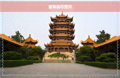 宠物旅行四川