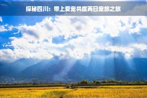 探秘四川:带上爱宠共度两日宠旅之旅