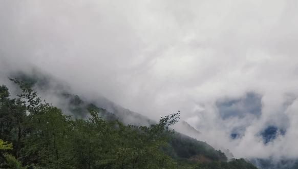第26集：登上神农顶，仿佛踏入了一个仙境。这里云雾缭绕，山峦起伏，千峰竞秀，万壑争流。极目远眺，那连绵的群山在云海中若隐若现，如梦如幻，让人不禁感叹大自然的鬼斧神工。#避暑胜地 #神农架风景 #放松时刻 #休闲娱乐