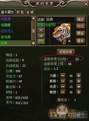 洪荒神话宠物系统全攻略