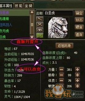 洪荒神话宠物系统全攻略