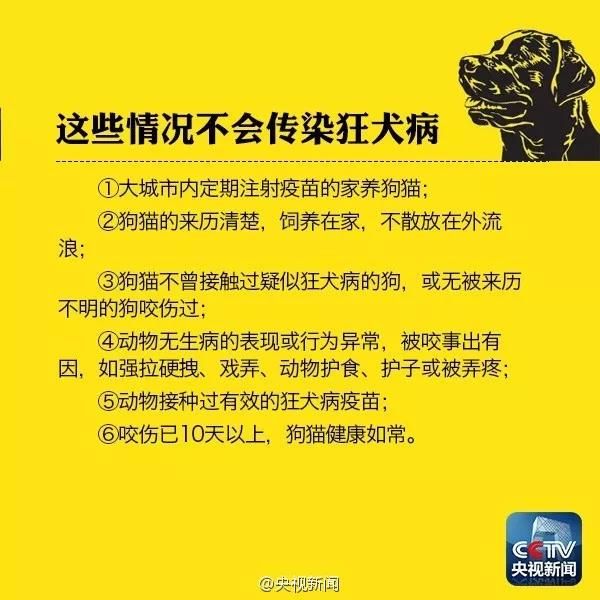 被小猫抓伤了该怎么处理伤口 用水冲冲是不够的!