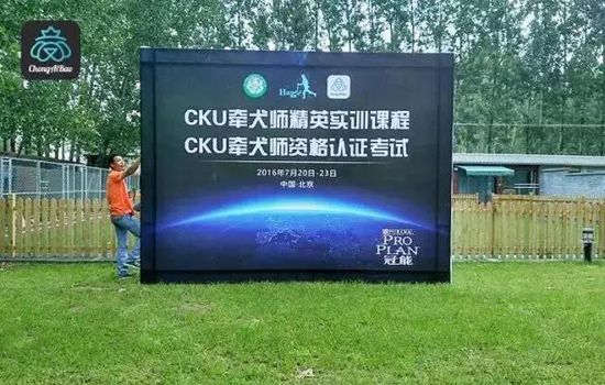 CKU是什么意思 CKU赛级犬如何评选