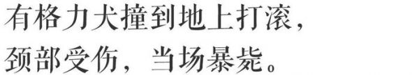 澳门 | 赛狗们拼尽一生，跑过80载，终究跑不过命运。