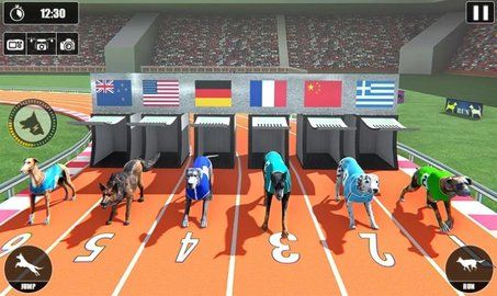 赛狗锦标赛（Dog Racing Championship）