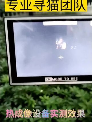 寻猫找猫团队爱宠侦探社:专业寻猫团队,有先进设备辅助寻找,没有设备辅助都是褥羊毛,专业不止做事靠谱,专业设备也很关键,#寻猫团队 #寻猫启事#宠物侦探