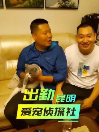 寻猫找猫团队爱宠侦探社:云南昆明寻猫团队丢失两天的蓝白成功找回,专业寻猫团队教你野外怎么抓捕猫咪,户外猫咪丢失应该怎么寻找?#寻猫团队#宠物侦探#猫咪丢失 #玄学找猫